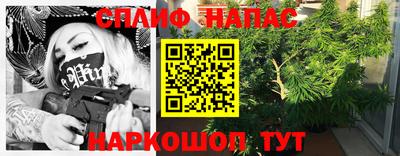 тгк Можга