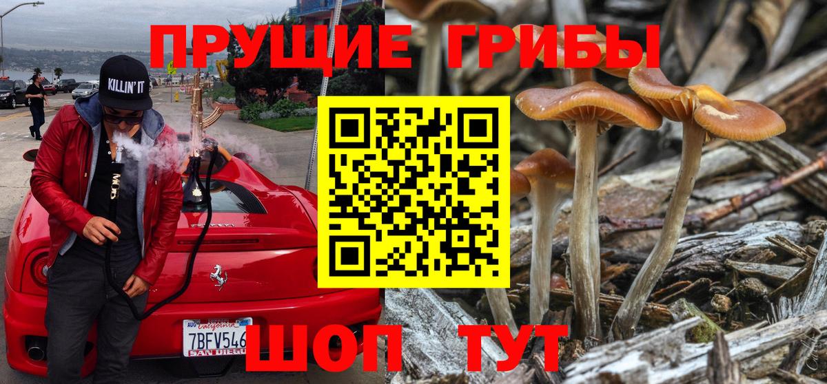 Энгельс  Галлюциногенные грибы ЛСД  как найти закладки  Вход с VPN 